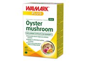 Oyster mushroom